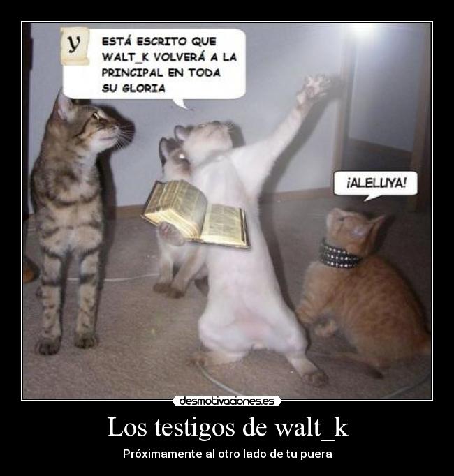 Los testigos de walt_k - Próximamente al otro lado de tu puera