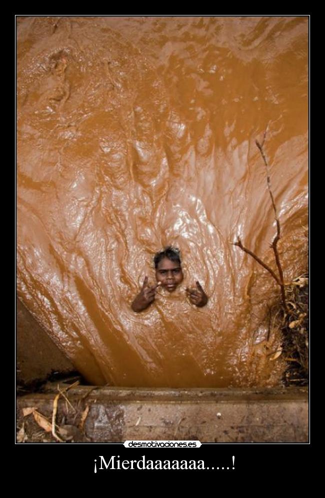 ¡Mierdaaaaaaa.....! - 