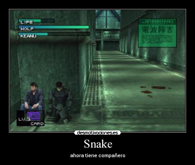 Snake - ahora tiene compañero