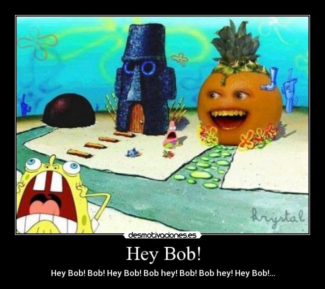 Hey Bob! - Hey Bob! Bob! Hey Bob! Bob hey! Bob! Bob hey! Hey Bob!...