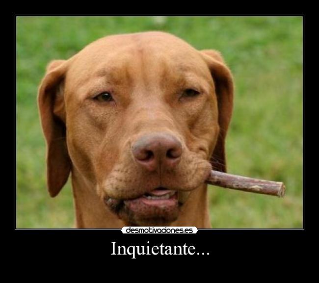 Inquietante... - 