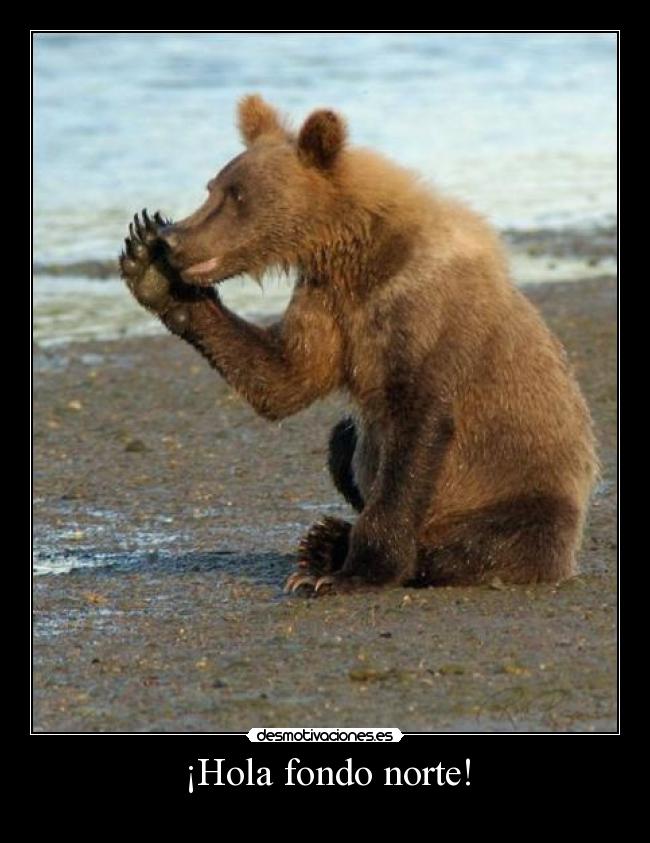 ¡Hola fondo norte! - 