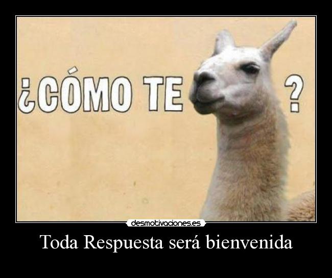 Toda Respuesta será bienvenida -
