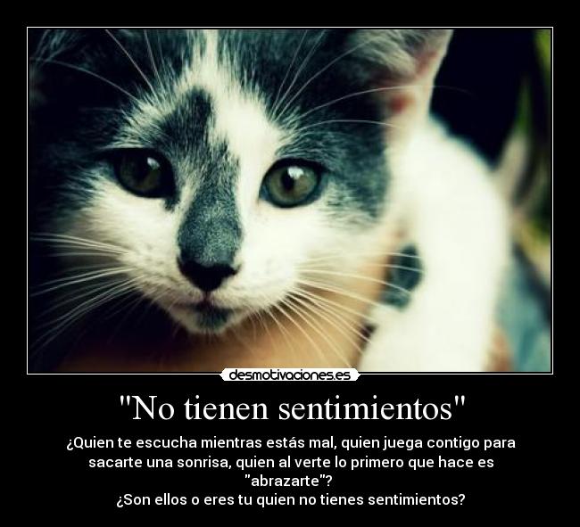 No tienen sentimientos -