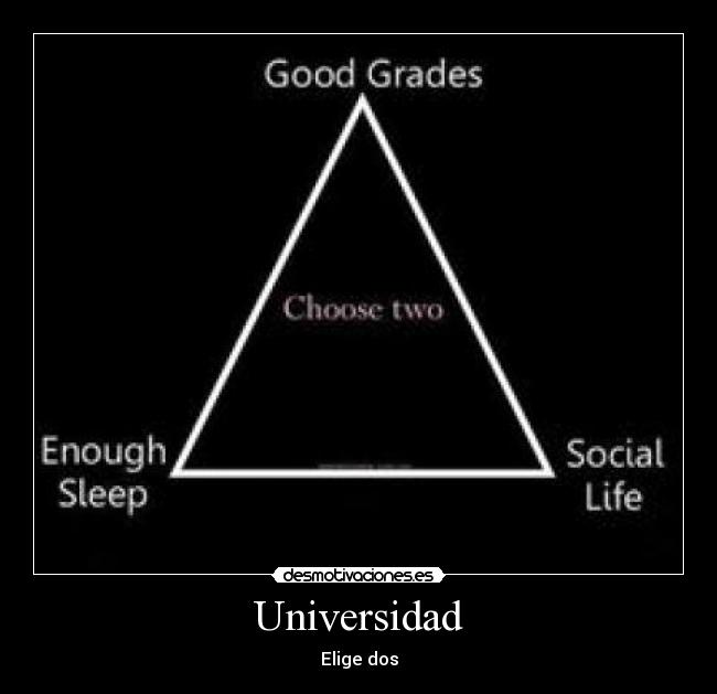 Universidad - Elige dos
