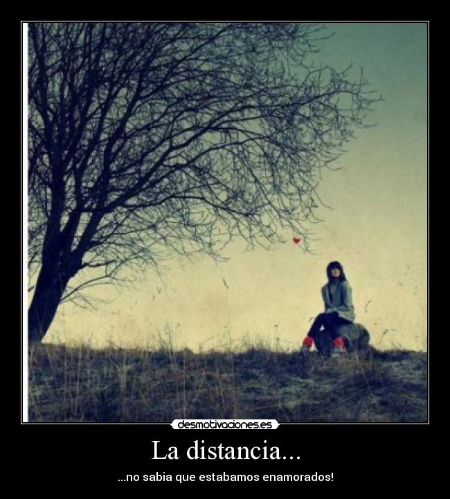 La distancia... - ...no sabia que estabamos enamorados!