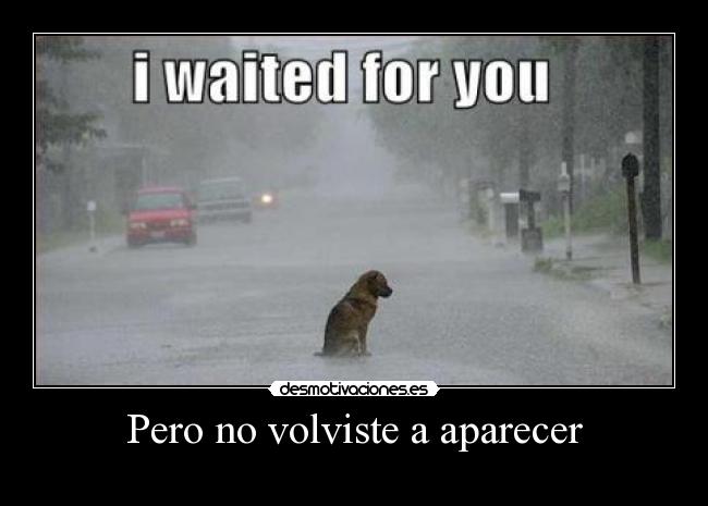 Pero no volviste a aparecer - 