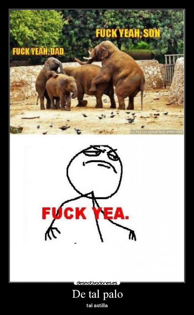 De tal palo -
