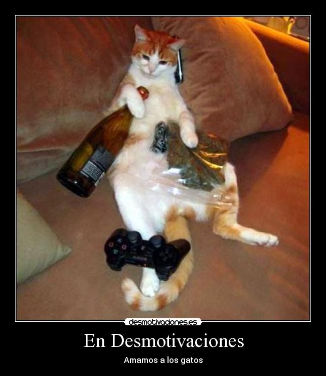 En Desmotivaciones -