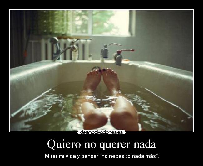 Quiero no querer nada -