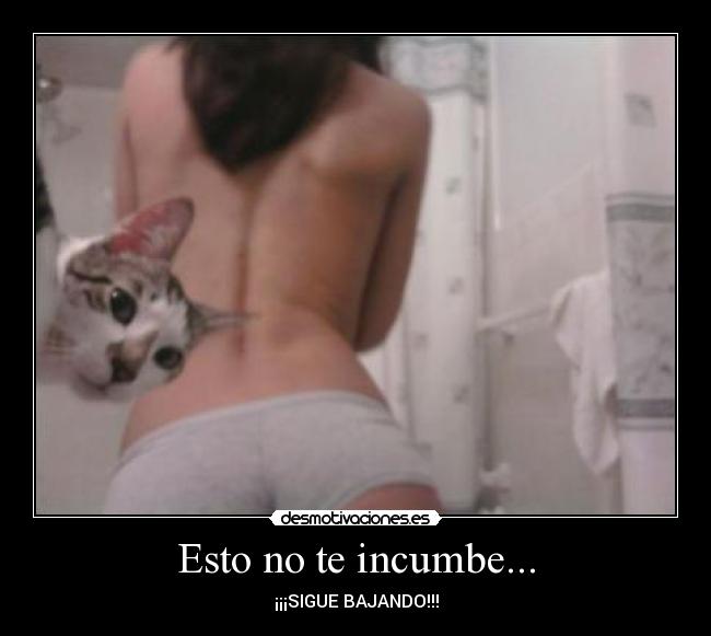 Esto no te incumbe... - 