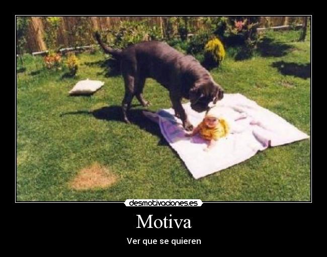 Motiva - Ver que se quieren