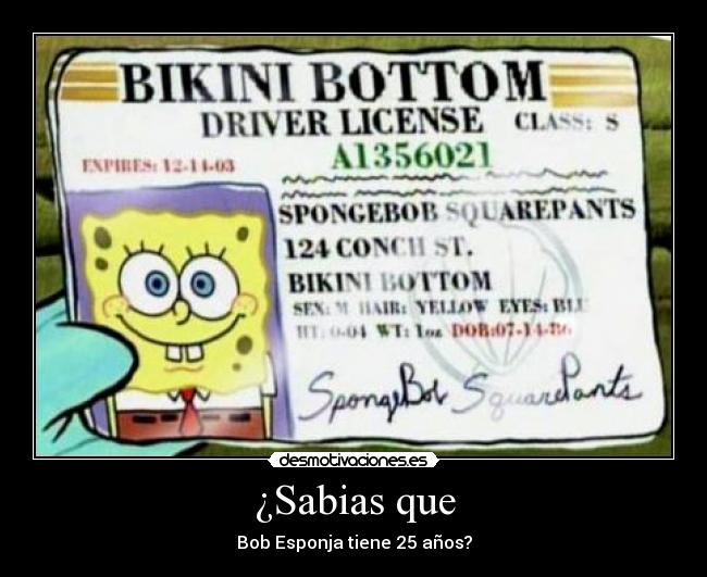 ¿Sabias que - Bob Esponja tiene 25 años?