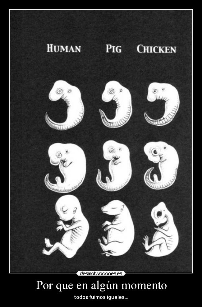 Por que en algún momento -