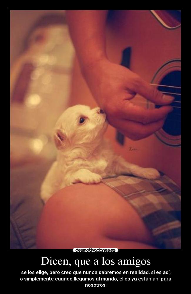 Dicen, que a los amigos - 