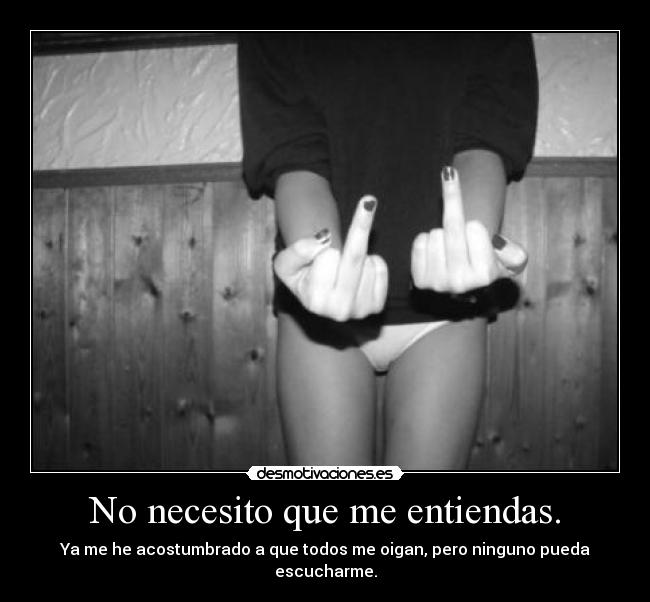 No necesito que me entiendas. -