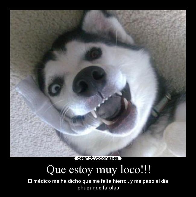 Que estoy muy loco!!! -