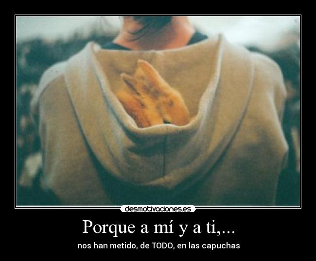 Porque a mí y a ti,... - nos han metido, de TODO, en las capuchas