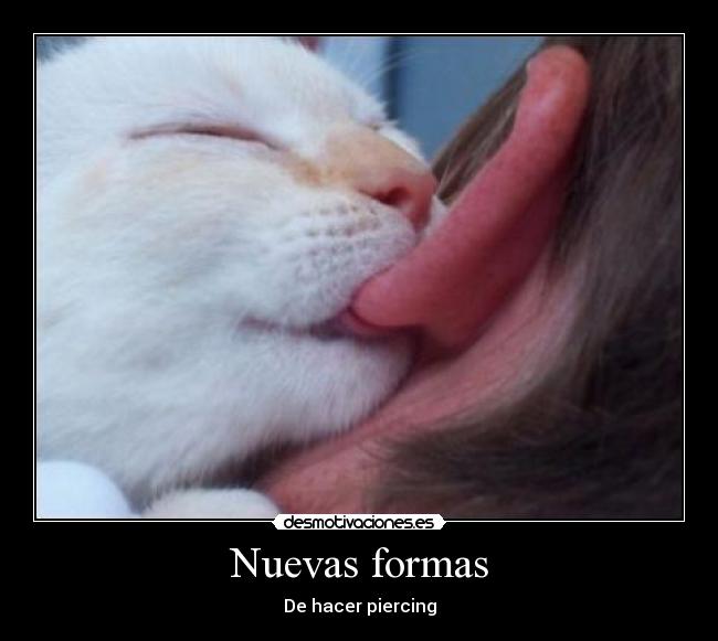 Nuevas formas - De hacer piercing