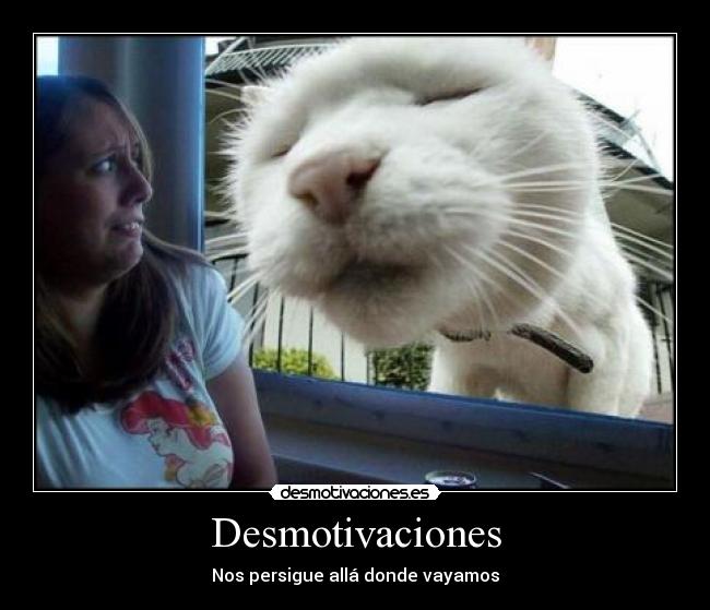 Desmotivaciones - Nos persigue allá donde vayamos