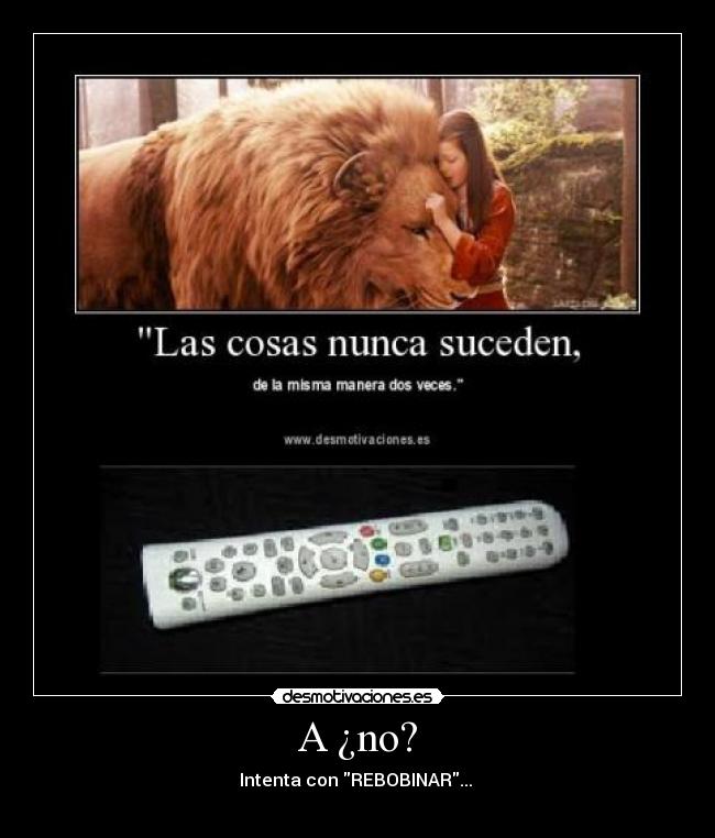 carteles narnia jcl desmotivaciones