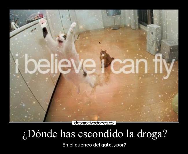 ¿Dónde has escondido la droga? - 