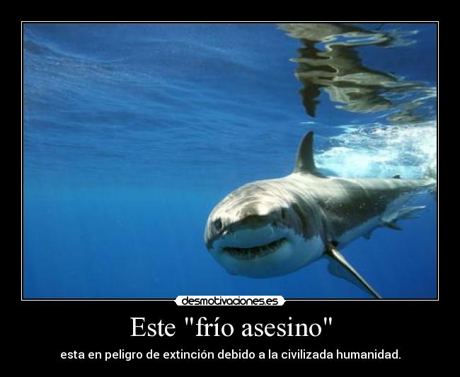 carteles khg desmotivaciones