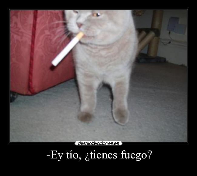 -Ey tío, ¿tienes fuego? -