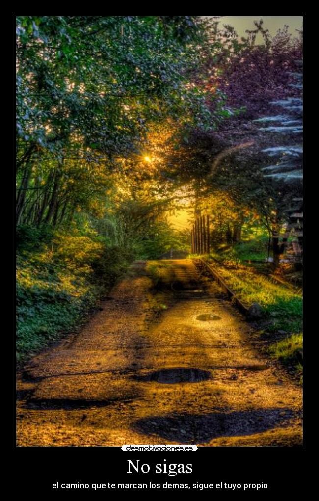 No sigas - 