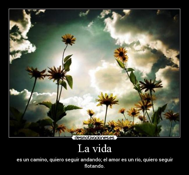 La vida - es un camino, quiero seguir andando; el amor es un río, quiero seguir flotando.