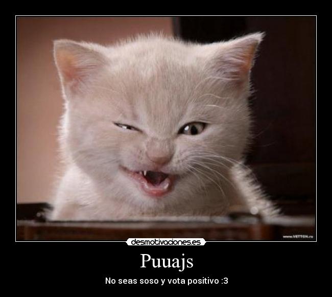 Puuajs - 