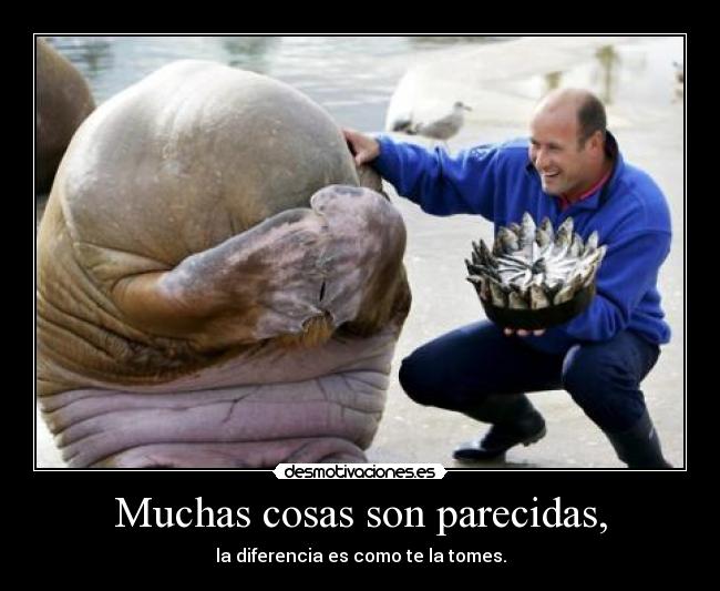 Muchas cosas son parecidas, - la diferencia es como te la tomes.