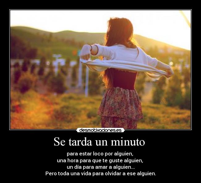 Se tarda un minuto - para estar loco por alguien,
una hora para que te guste alguien,
un día para amar a alguien...
Pero toda una vida para olvidar a ese alguien.