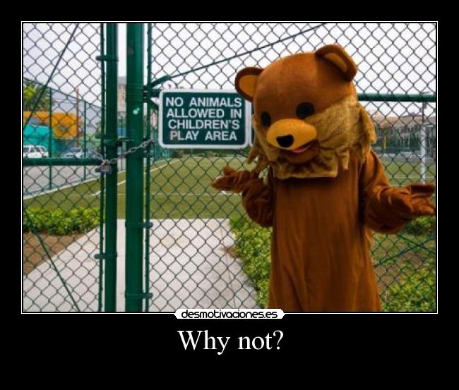 carteles wimpa oso desmotivaciones