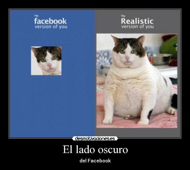 carteles facebook desmotivaciones