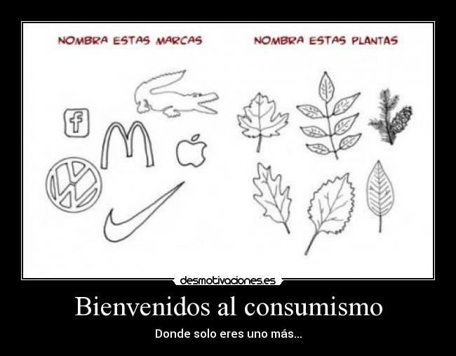 Bienvenidos al consumismo - 
