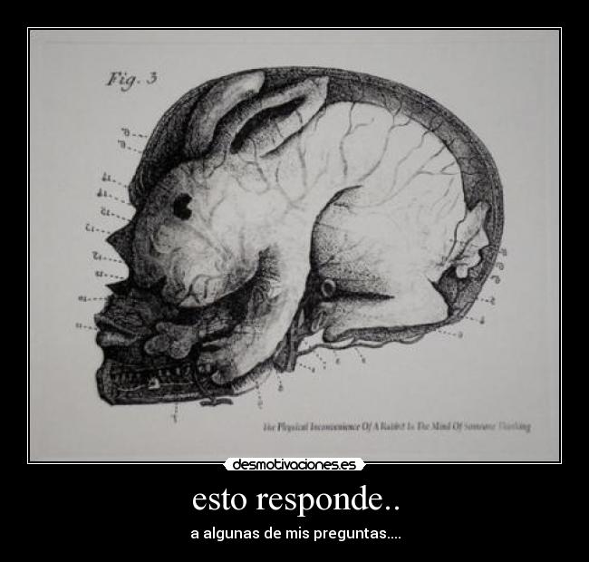esto responde.. - 