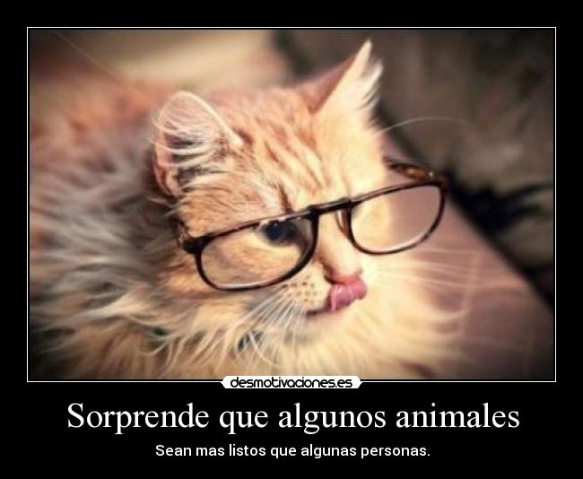 Sorprende que algunos animales - 