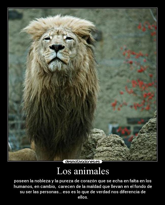 Los animales - 