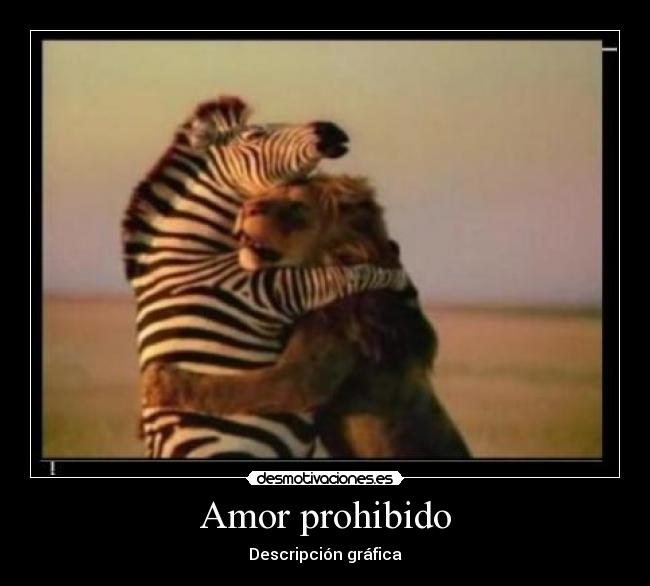carteles amor cma_98 desmotivaciones