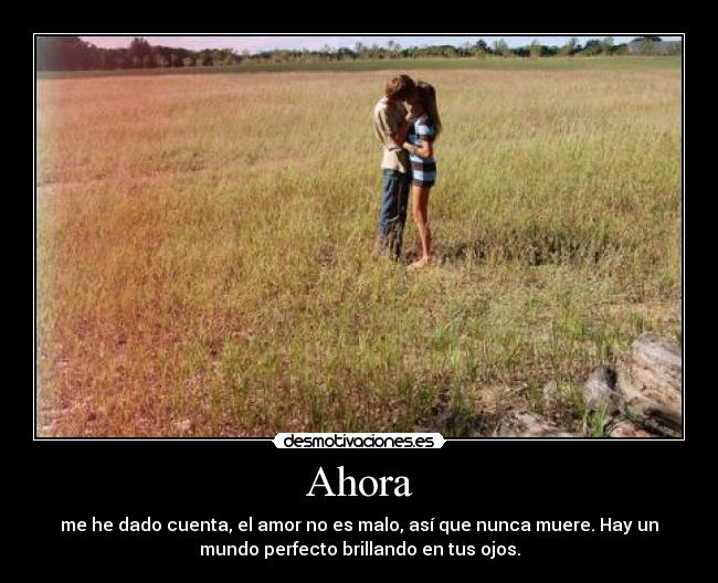 Ahora - me he dado cuenta, el amor no es malo, así que nunca muere. Hay un
mundo perfecto brillando en tus ojos.