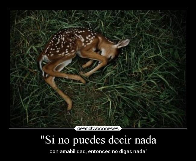 carteles bambi amabilidad hablar desmotivaciones