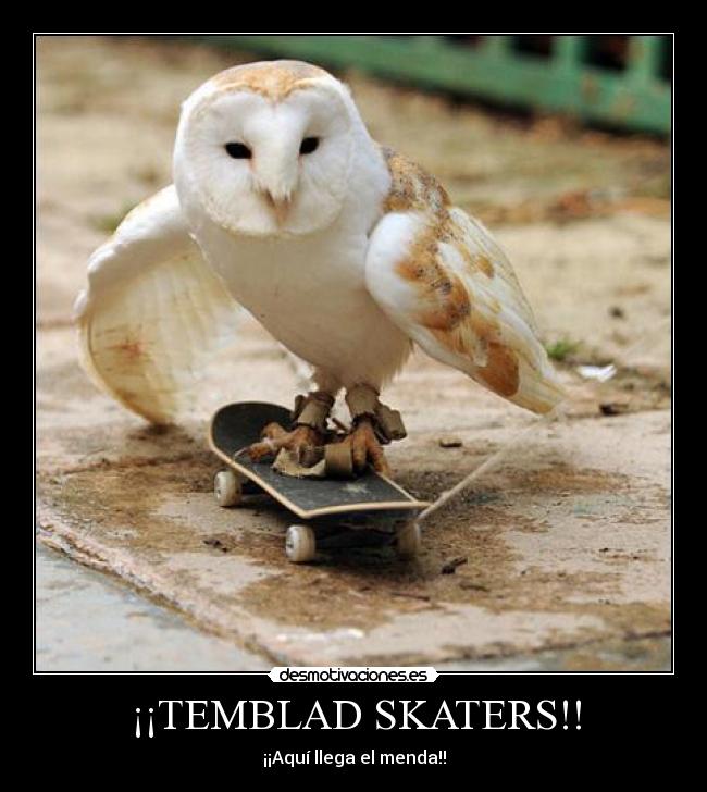 ¡¡TEMBLAD SKATERS!! - ¡¡Aquí llega el menda!!