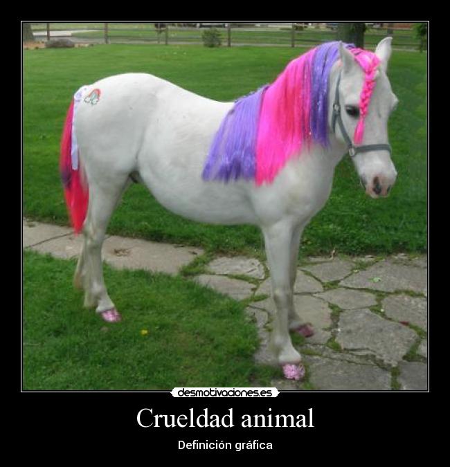 Crueldad animal - Definición gráfica