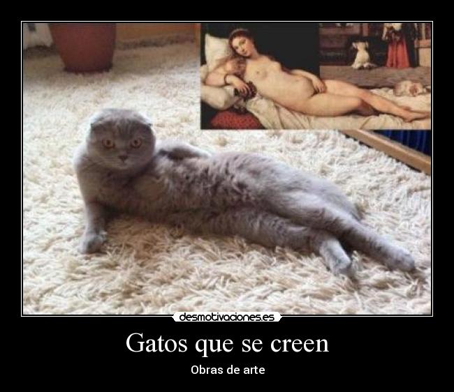 carteles gatos obra arte gato desmotivaciones