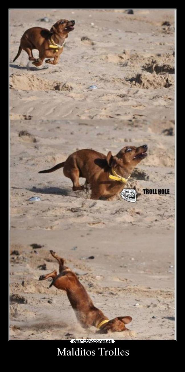 Malditos Trolles -
