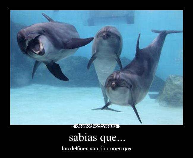 sabias que... -