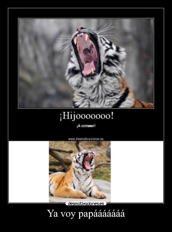 Ya voy papááááááá - 