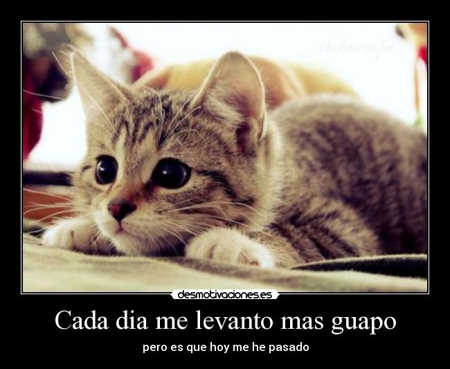 Cada dia me levanto mas guapo -