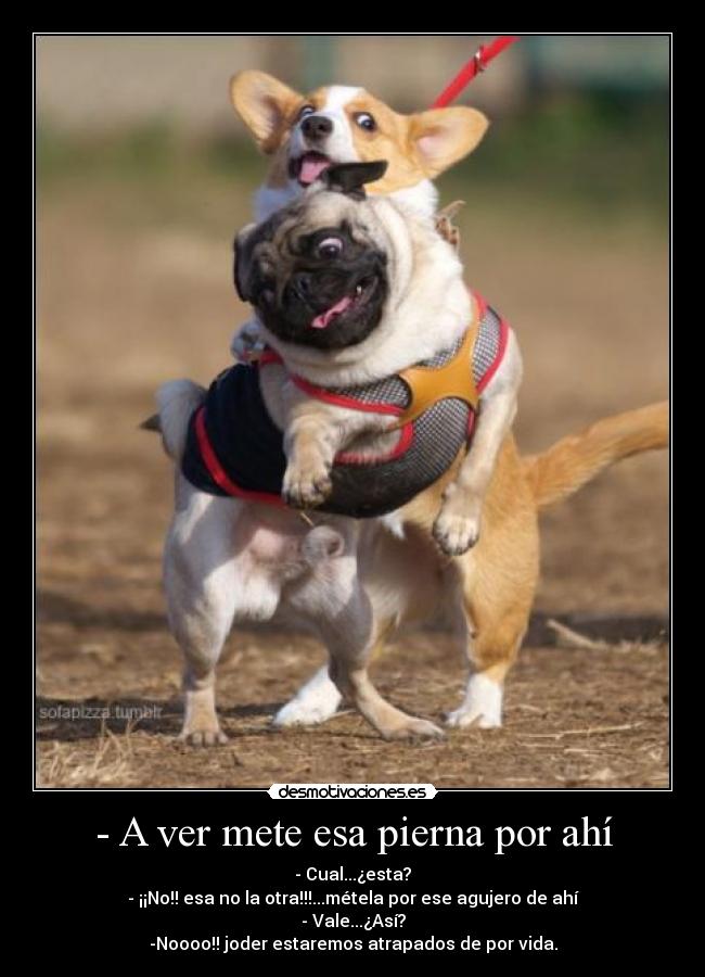 - A ver mete esa pierna por ahí - - Cual...¿esta?
- ¡¡No!! esa no la otra!!!...métela por ese agujero de ahí
- Vale...¿Así?
-Noooo!! joder estaremos atrapados de por vida.